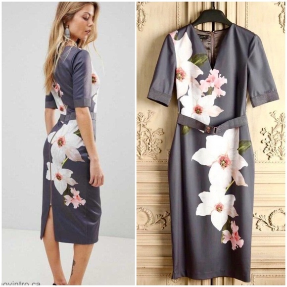 🍒NWOT🍒 TED BAKER BISSLEE CHATSWORTH BODYCON - Picture 2 of 8